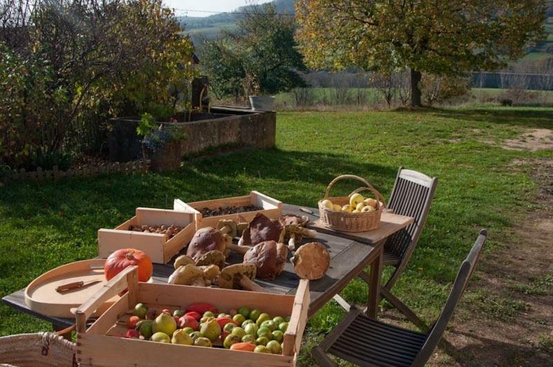 Gite La Grange Du Haut Saint-Antoine Kültér fotó